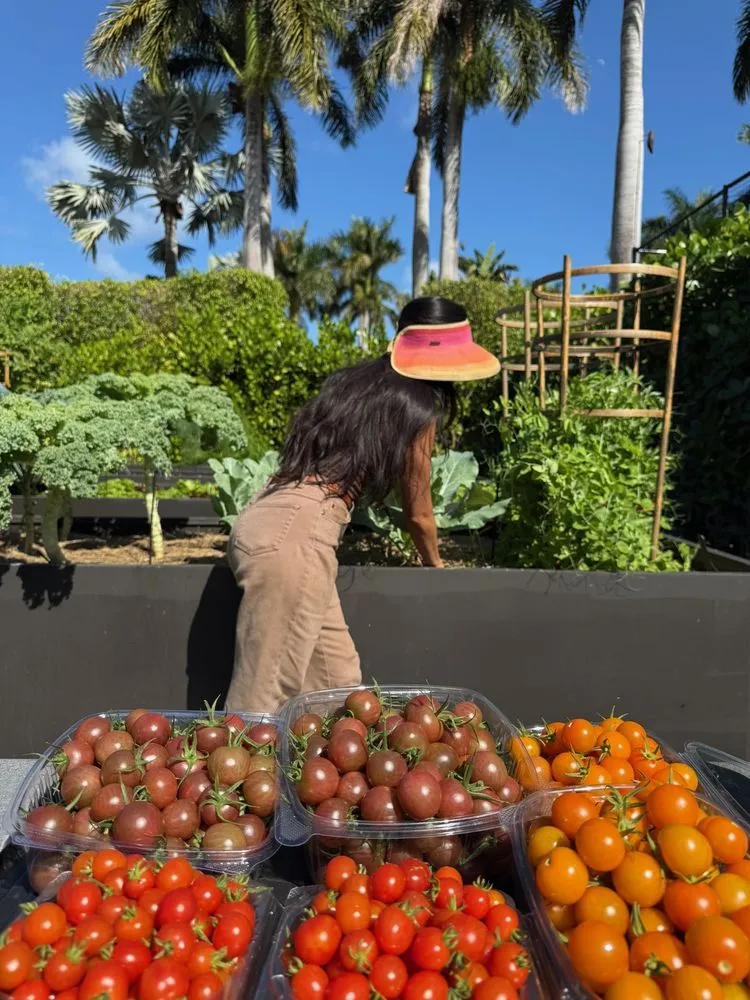 Reliable yard cleanup service in Miami, FL - Little River Cooperative