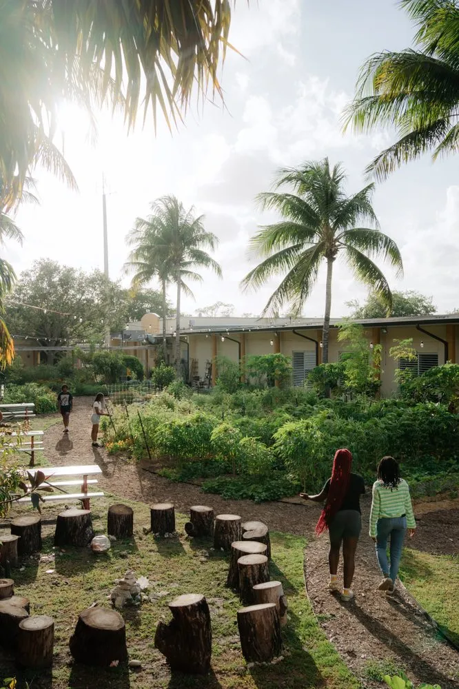 Trusted lawn care service for outdoor upgrades in Miami, FL by Little River Cooperative