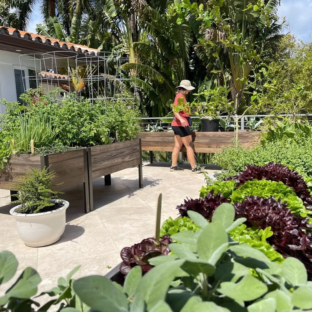 Trusted lawn mowing service for residential properties across Miami, FL - Little River Cooperative