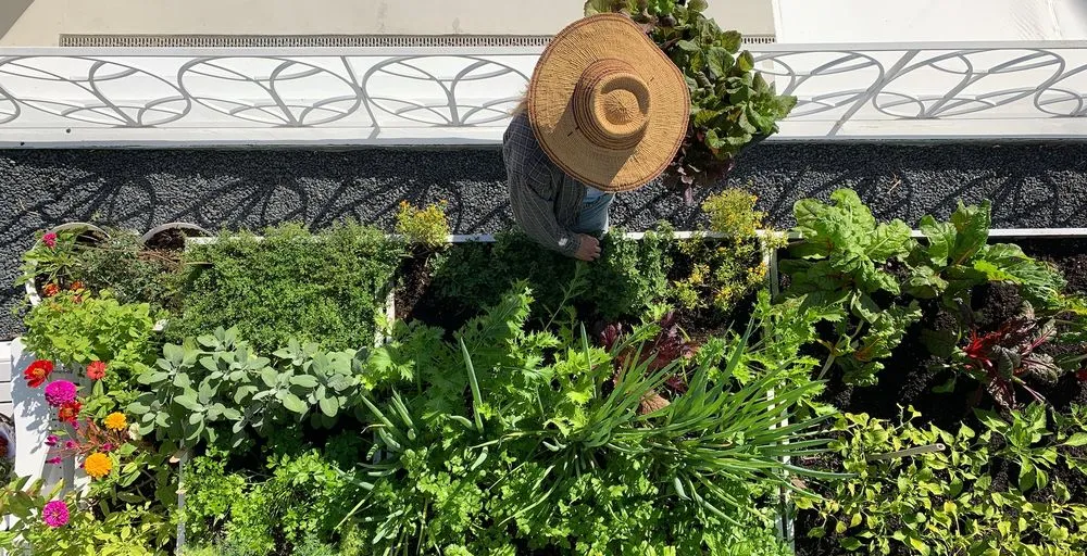 Local yard cleanup service in Miami, FL - Little River Cooperative