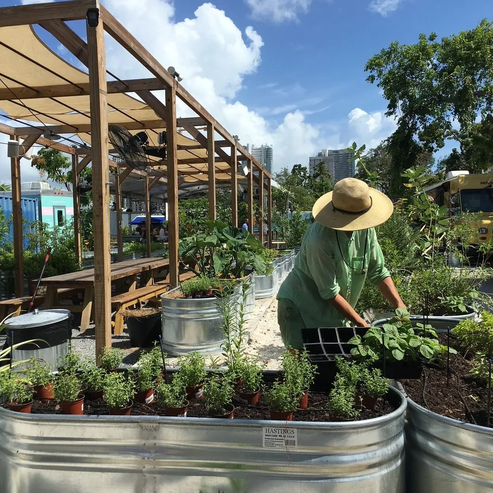 Local garden landscaping for year-round maintenance in Miami, FL by Little River Cooperative