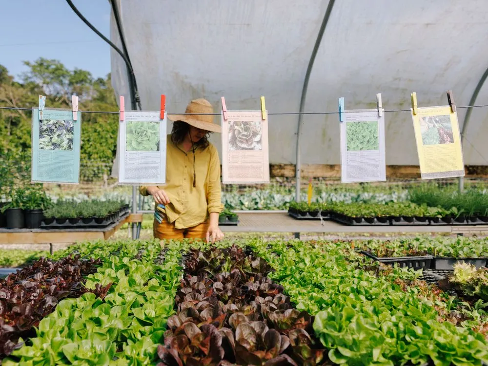 Expert residential landscaping for beautiful yards in Miami, FL by Little River Cooperative