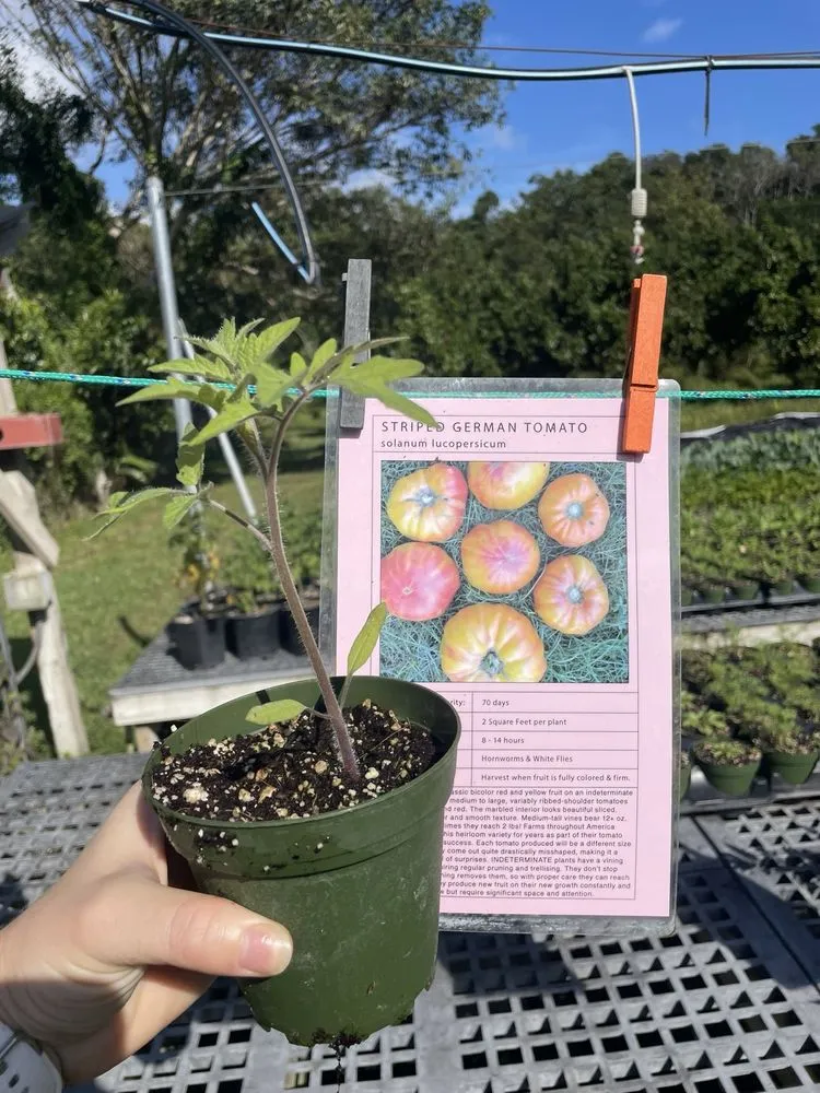 Top-rated garden landscaping experts serving Miami, FL - Little River Cooperative