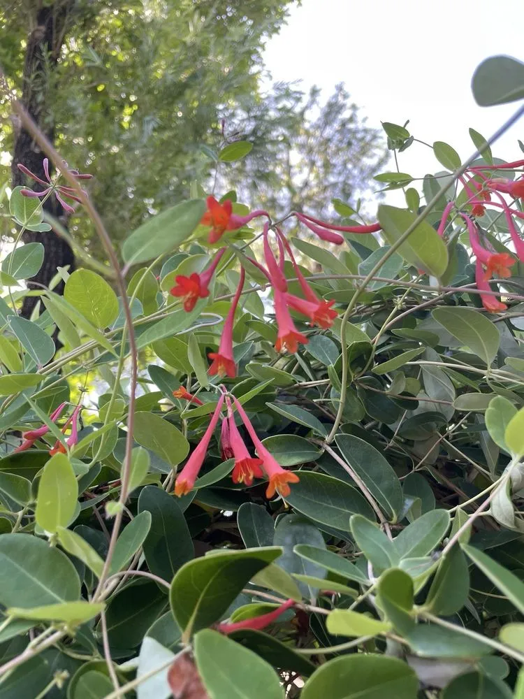 Professional garden landscaping experts serving Miami, FL - Little River Cooperative