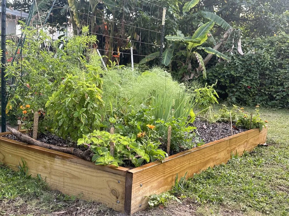 Professional lawn mowing service in Miami, FL by Little River Cooperative