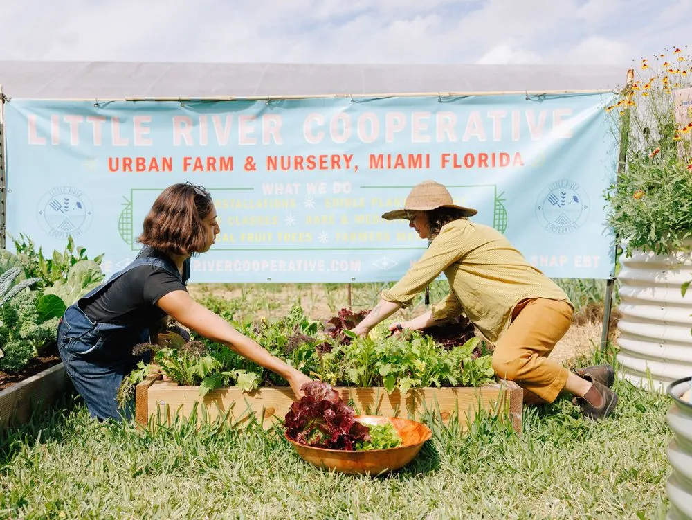 Reliable landscape installation with custom design in Miami, FL by Little River Cooperative