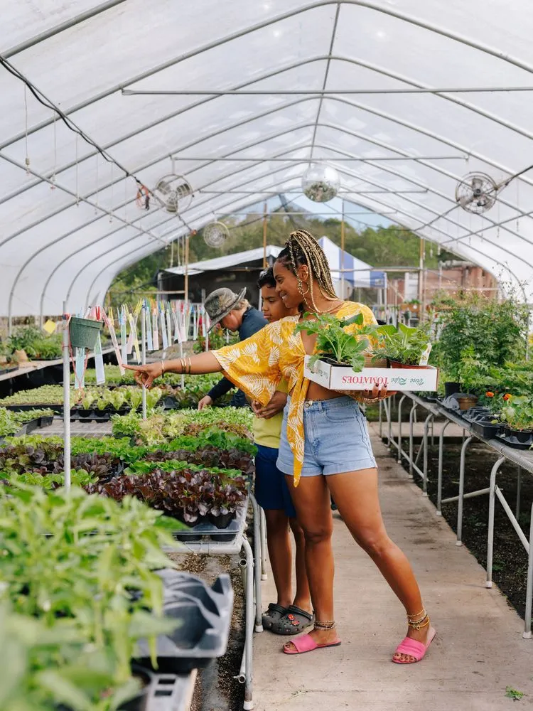 Affordable yard maintenance with custom design in Miami, FL by Little River Cooperative