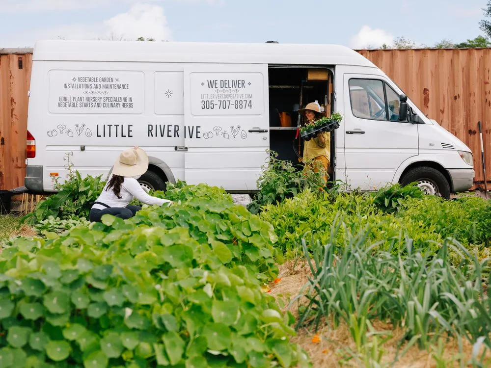 Expert landscaping services in Miami, FL by Little River Cooperative