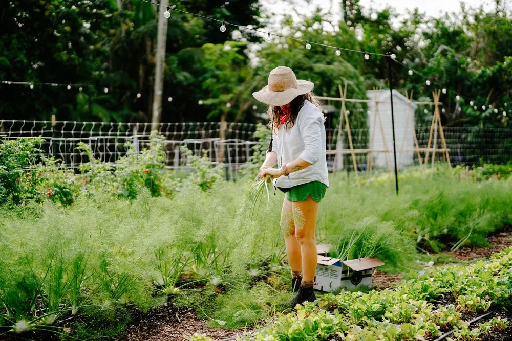 Reliable garden landscaping for outdoor upgrades across Miami, FL - Little River Cooperative