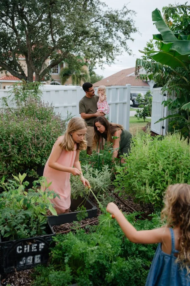 Trusted landscape installation for homes across Miami, FL - Little River Cooperative