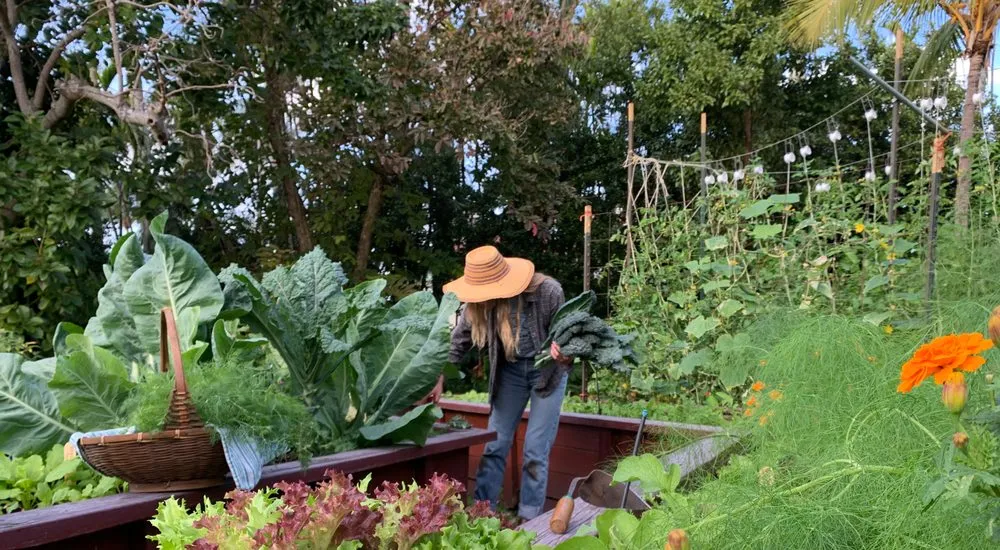 Expert outdoor landscaping experts serving Miami, FL - Little River Cooperative