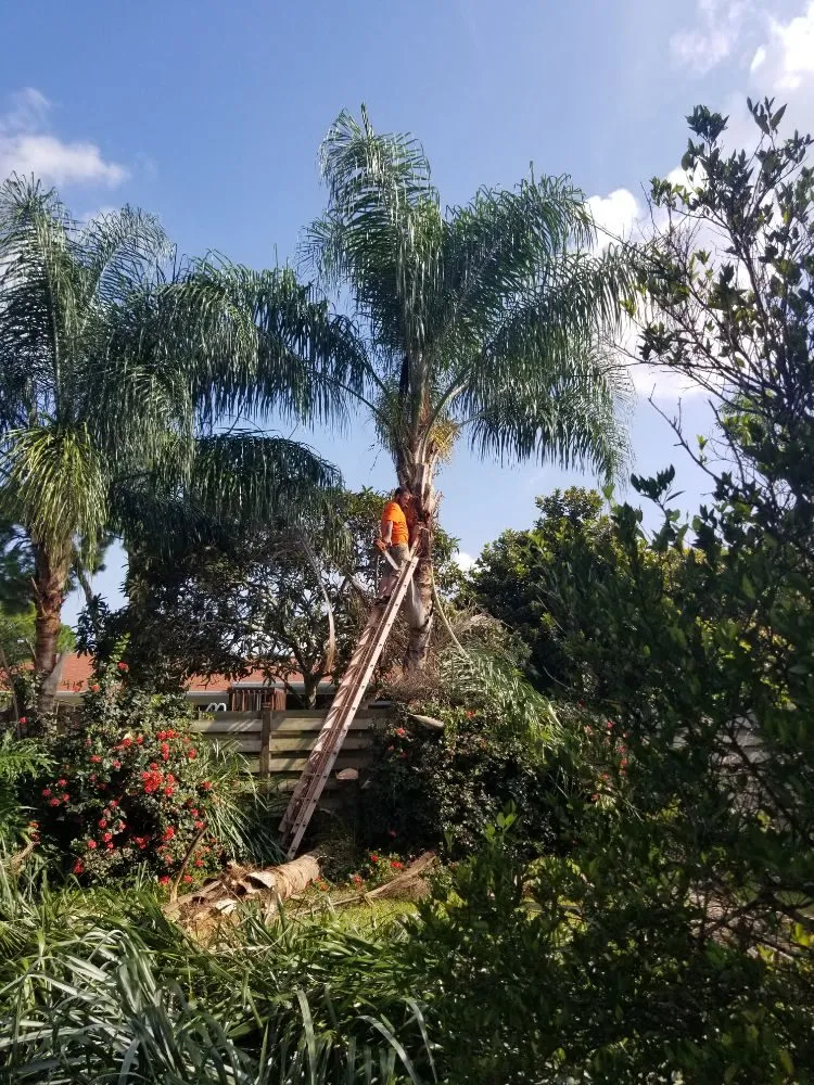 Trusted lawn care service experts serving Ellenton, FL - Little River Lawn Service