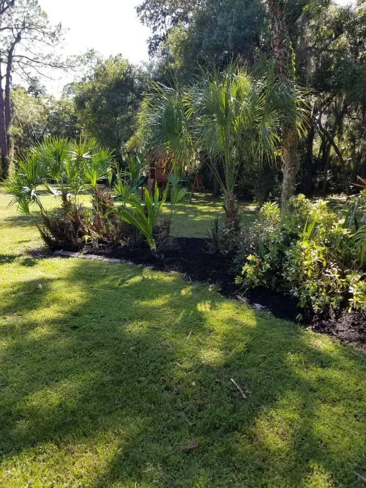 Expert yard maintenance in Ellenton, FL - Little River Lawn Service