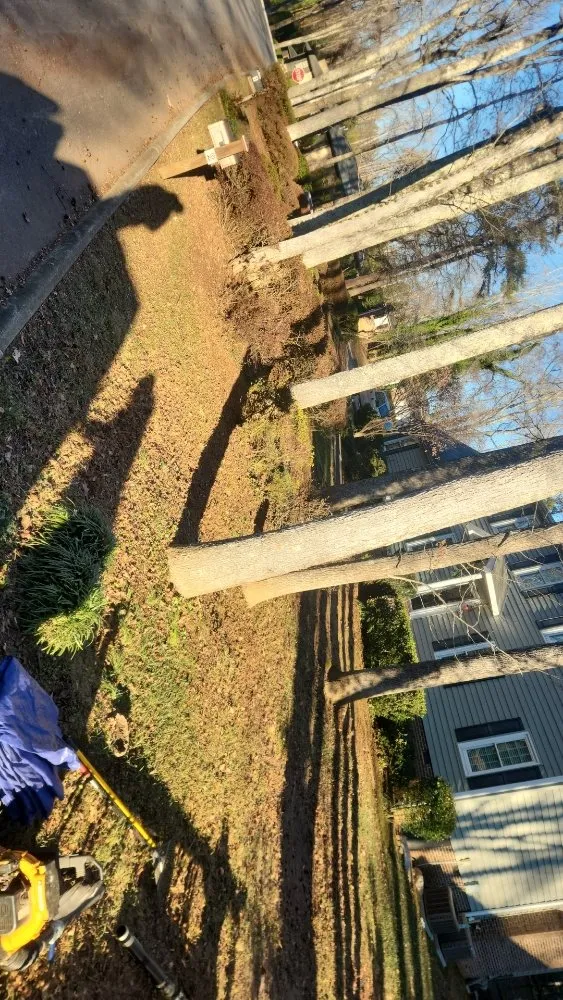 Top-rated yard maintenance in Greenville, SC - Little River Property Management