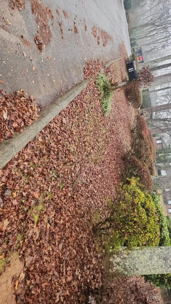 Expert outdoor landscaping for year-round maintenance in Greenville, SC by Little River Property Management