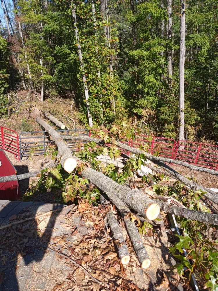 Professional yard maintenance for year-round maintenance in Greenville, SC by Little River Property Management