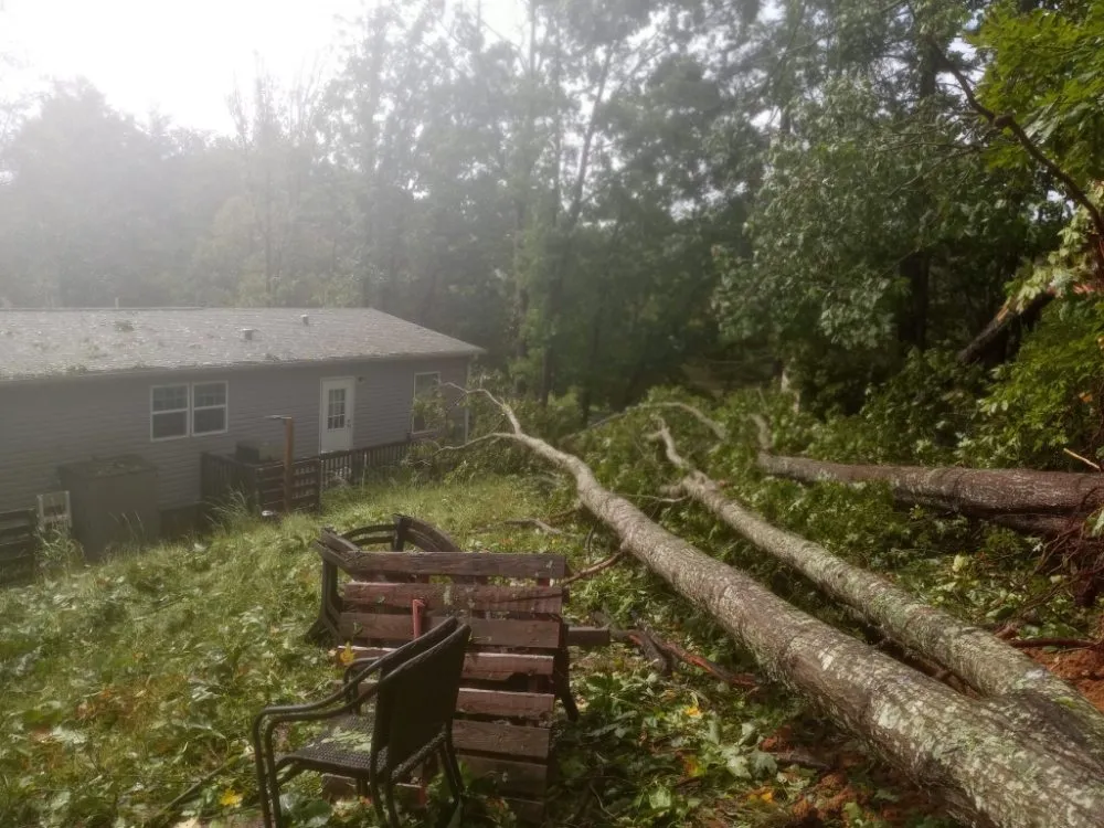 Expert yard maintenance in Greenville, SC by Little River Property Management