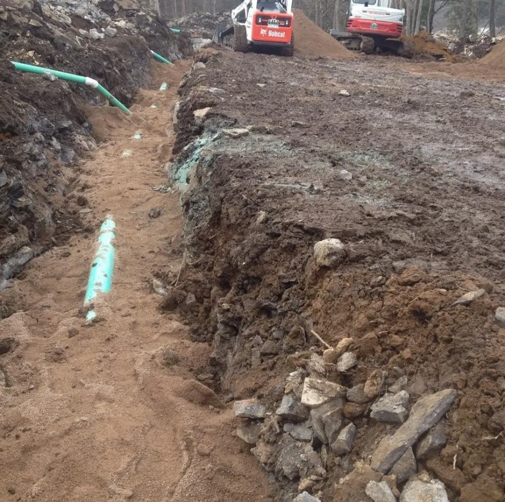 Professional lawn care service in Greenville, SC by Little River Property Management