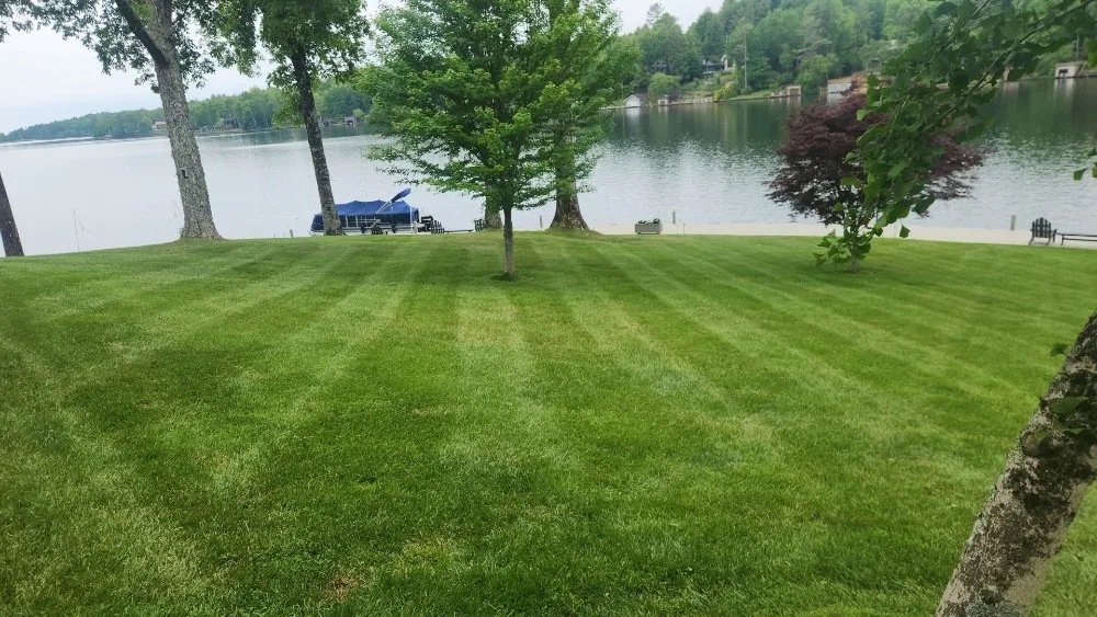 Top-rated lawn mowing service in Greenville, SC - Little River Property Management