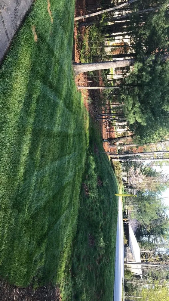 Top-rated landscaping services in Greenville, SC - Little River Property Management