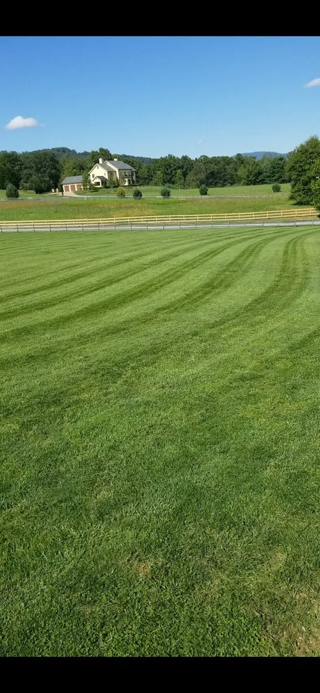 Trusted yard maintenance in Greenville, SC by Little River Property Management