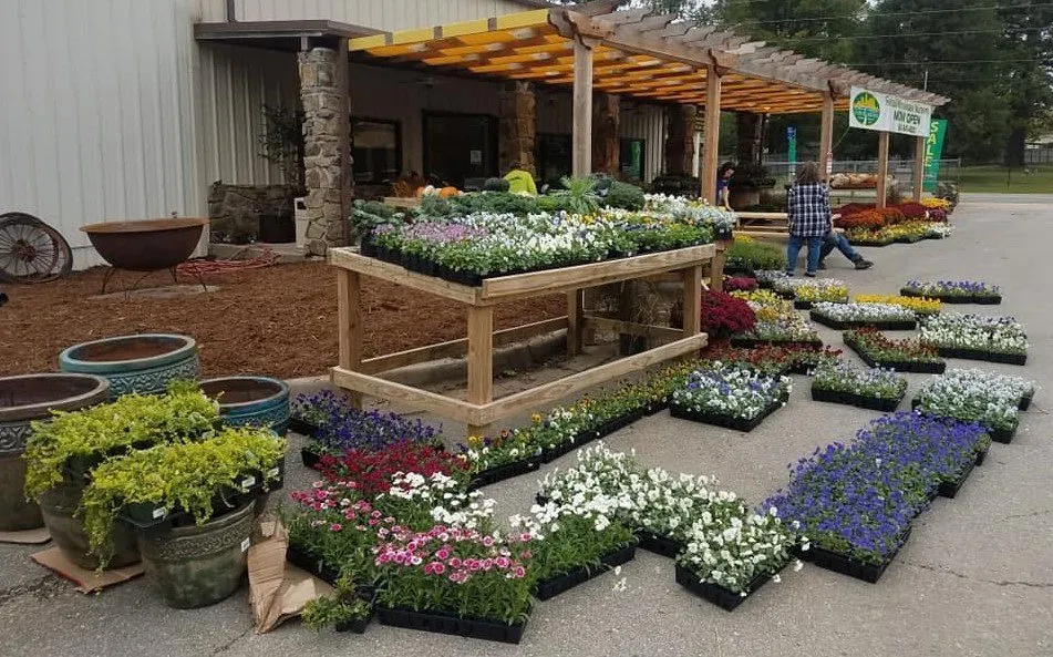 Expert outdoor landscaping in Little Rock, AR - Little Rock Landscape