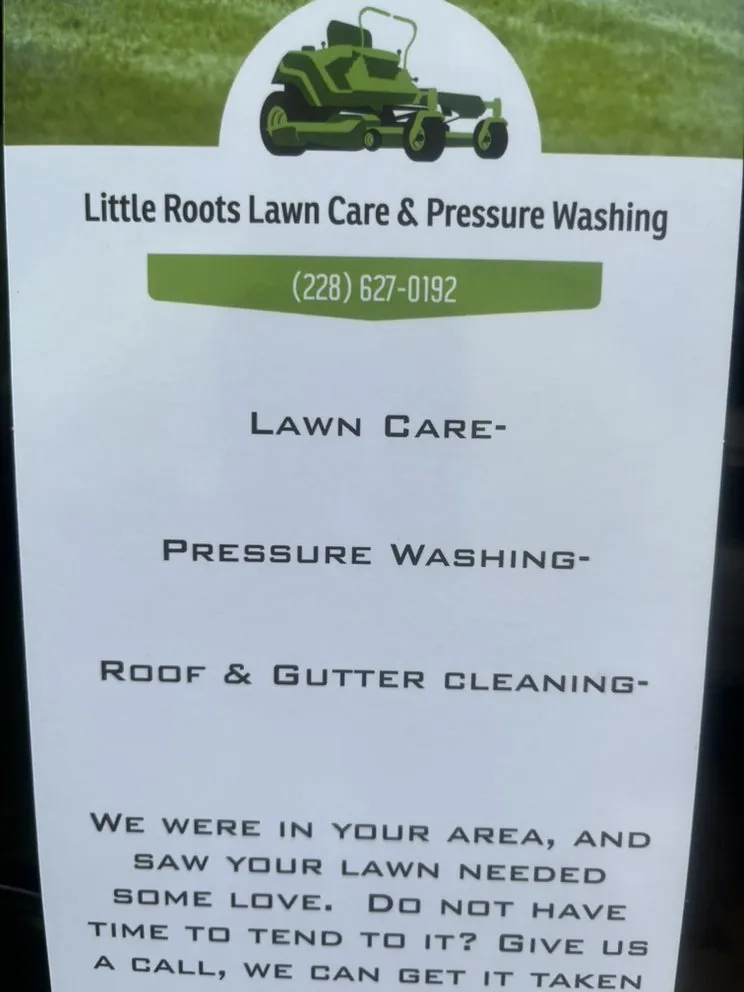 Professional outdoor landscaping with custom design in Ocean Springs, MS by Little Roots Lawncare and Pressure Washing