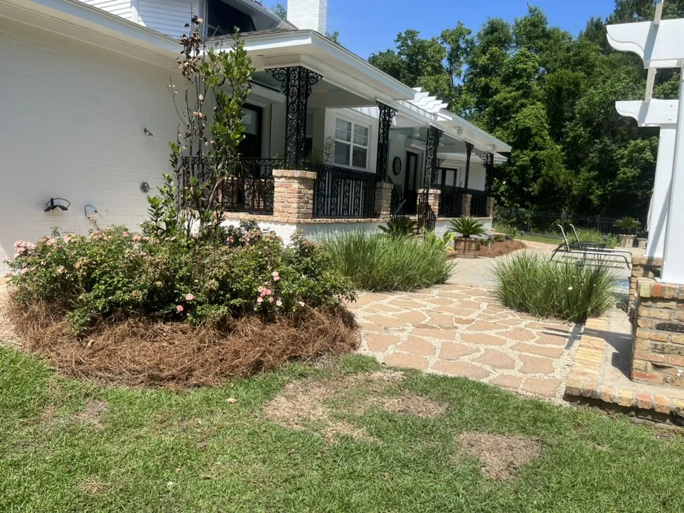 Reliable yard cleanup service near you across Ocean Springs, MS - Little Roots Lawncare and Pressure Washing