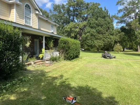 Little Roots Lawncare and Pressure Washing Logo