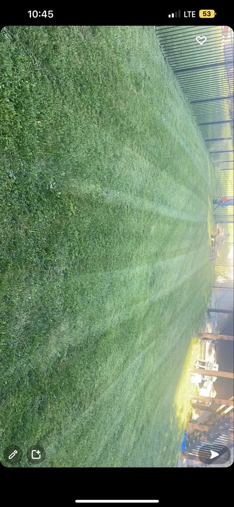 Top-rated outdoor landscaping in Georgetown, IN by Little Schmidt Lawn Care