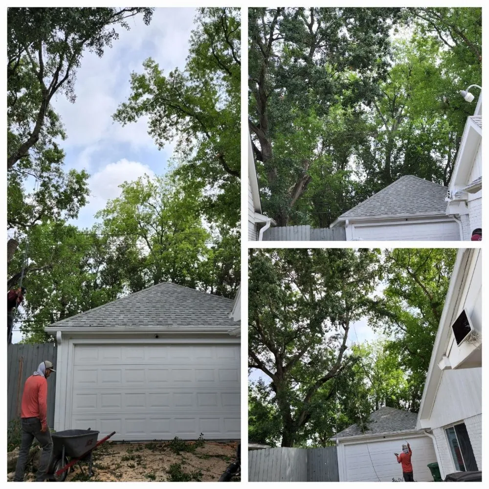 Affordable lawn care service experts serving Pattison, TX - Little Shepherds