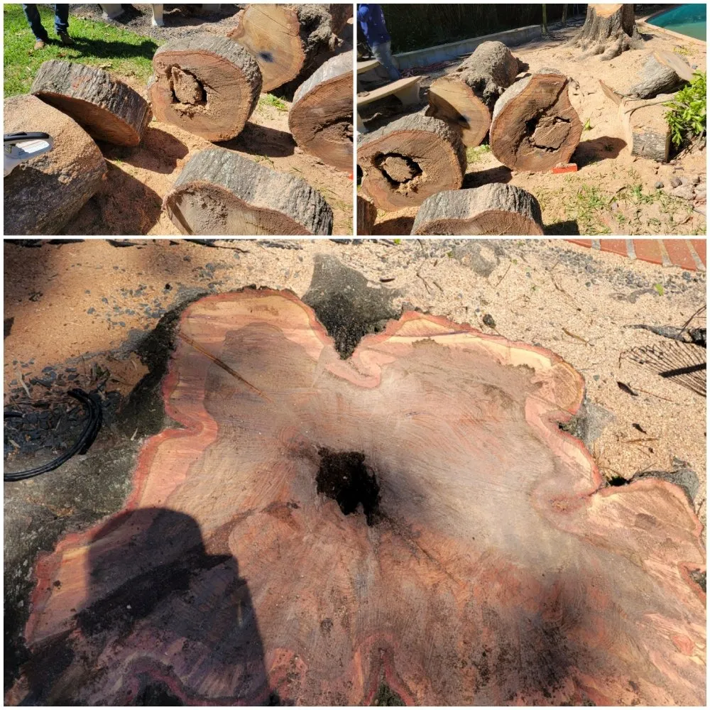 Trusted landscape design in Pattison, TX by Little Shepherds