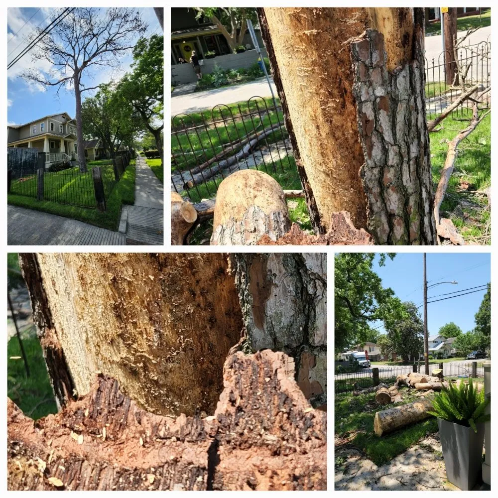 Expert garden landscaping for residential properties in Pattison, TX by Little Shepherds