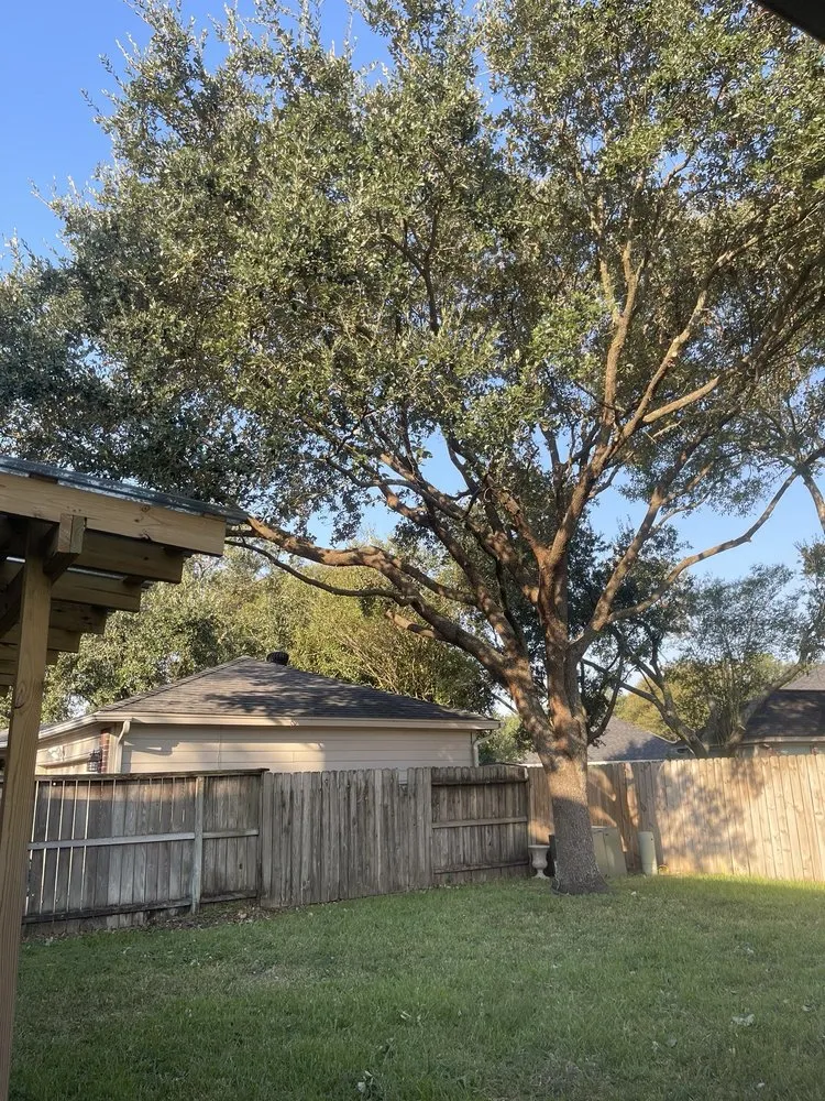 Expert landscape installation for homes across Pattison, TX - Little Shepherds