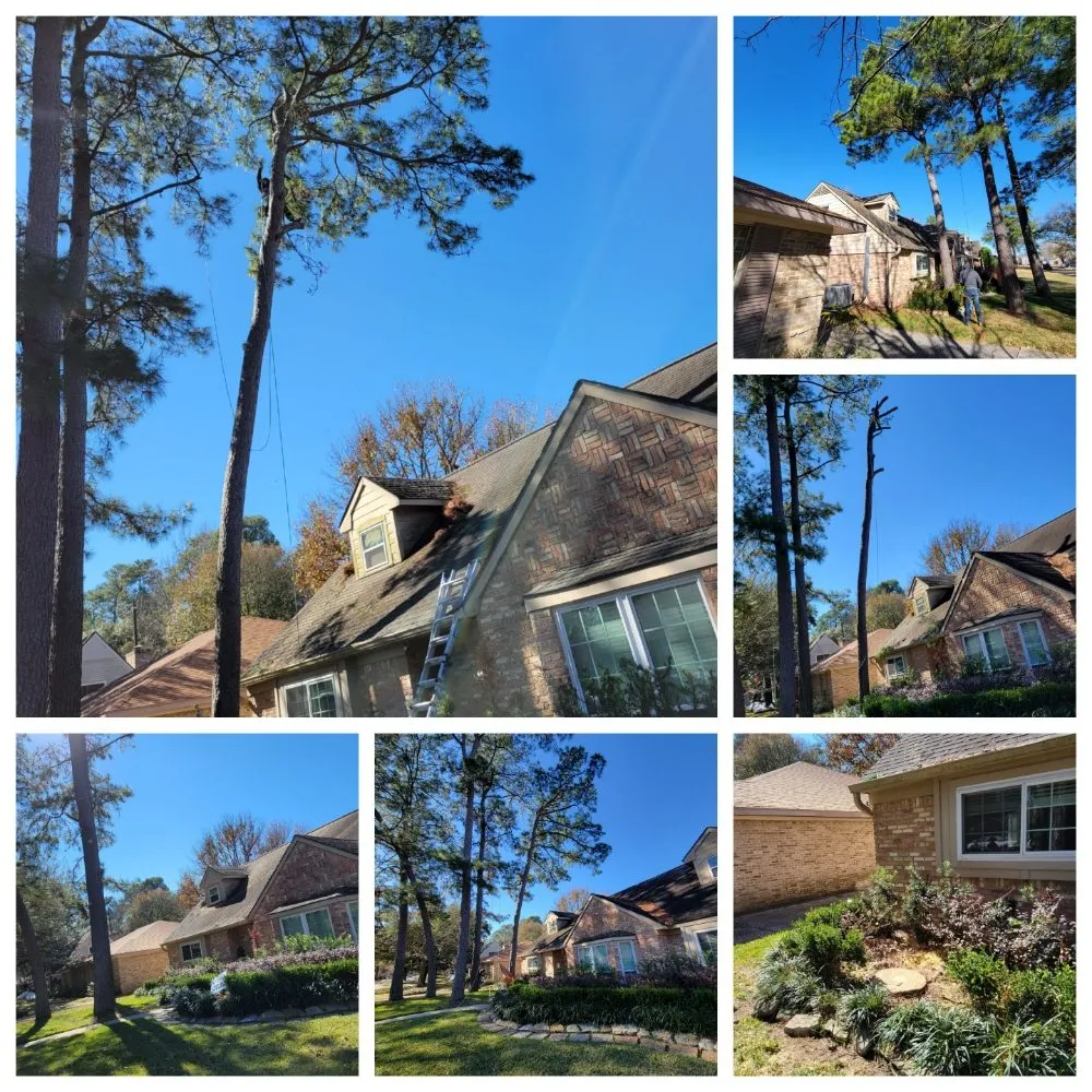 Affordable landscape installation with custom design in Pattison, TX by Little Shepherds