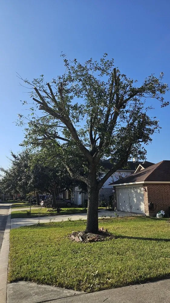 Professional landscaping services in Pattison, TX by Little Shepherds
