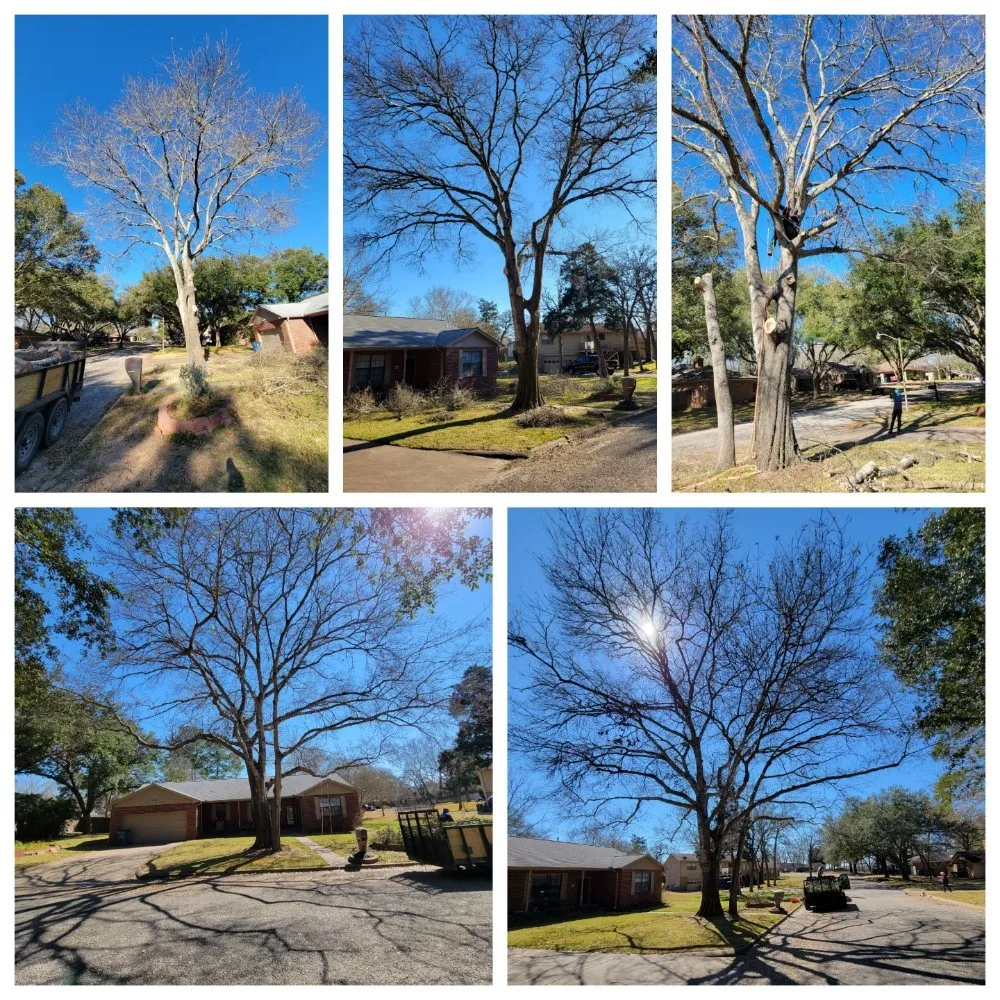 Custom landscape installation for homes in Pattison, TX by Little Shepherds