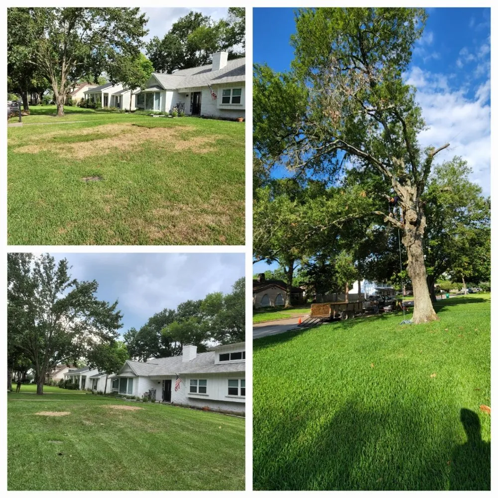 Affordable residential landscaping near you across Pattison, TX - Little Shepherds