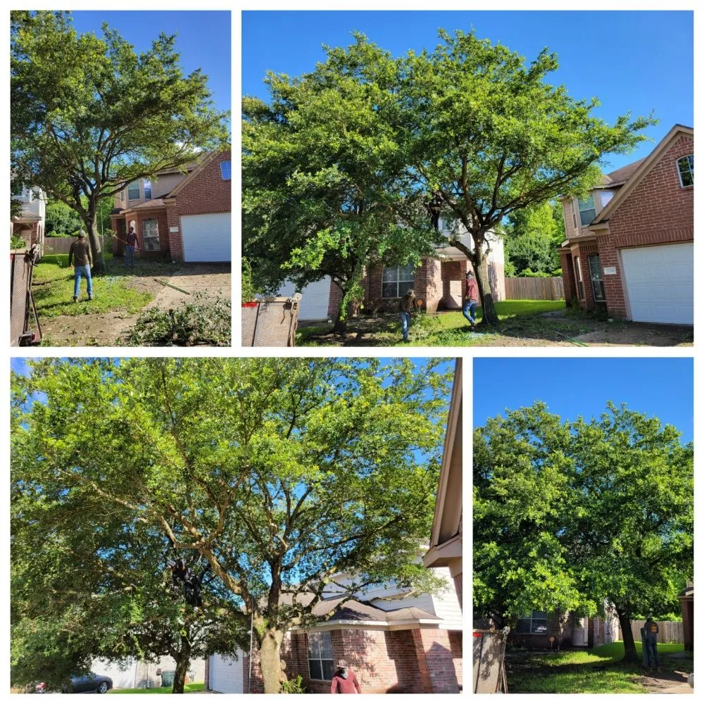 Local yard maintenance for homes in Pattison, TX by Little Shepherds