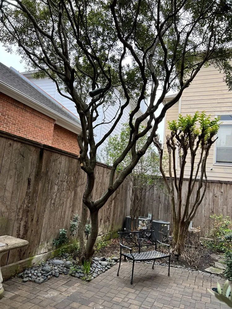 Top-rated residential landscaping experts serving Pattison, TX - Little Shepherds