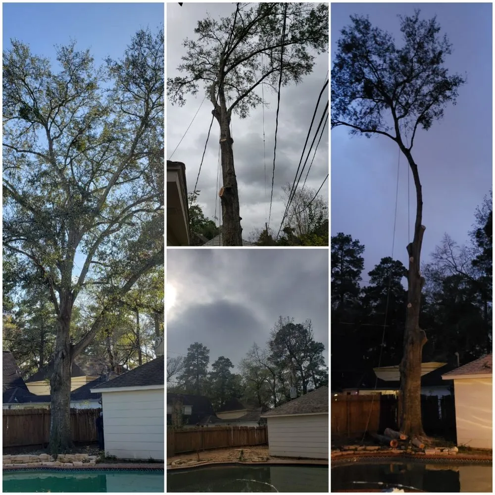 Local landscaping services for homes across Pattison, TX - Little Shepherds