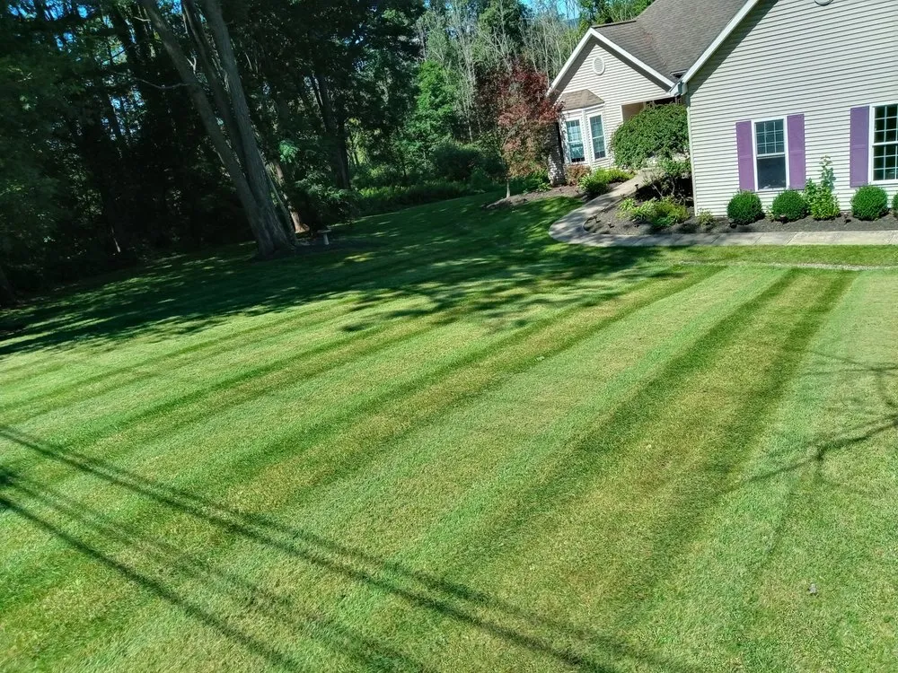 Custom yard cleanup service in Millerton, PA - Little Town Lawn Care