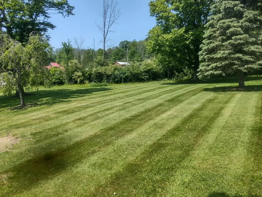 Top-rated lawn care service experts serving Millerton, PA - Little Town Lawn Care