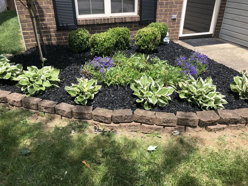 Custom yard maintenance in Lexington-Fayette, KY - Little.Louis Lawn & Landscape