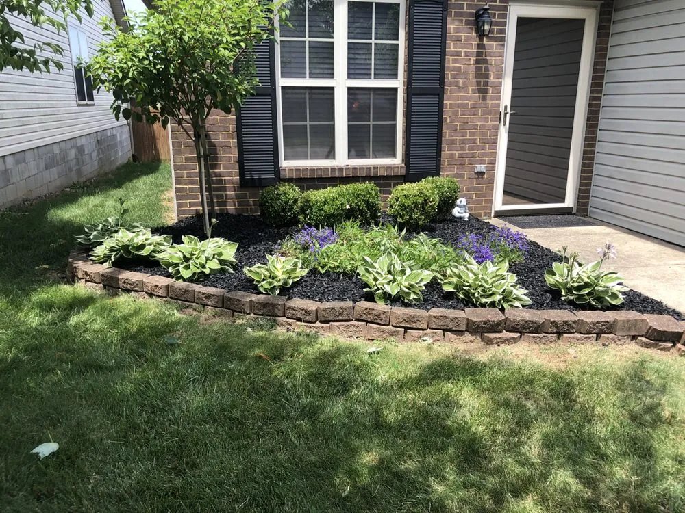 Trusted lawn care service for residential properties in Lexington-Fayette, KY by Little.Louis Lawn & Landscape