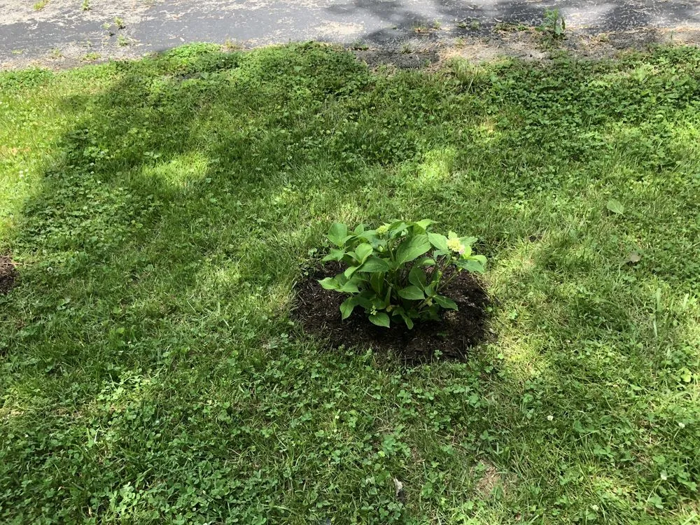 Expert lawn mowing service with custom design across Lexington-Fayette, KY - Little.Louis Lawn & Landscape