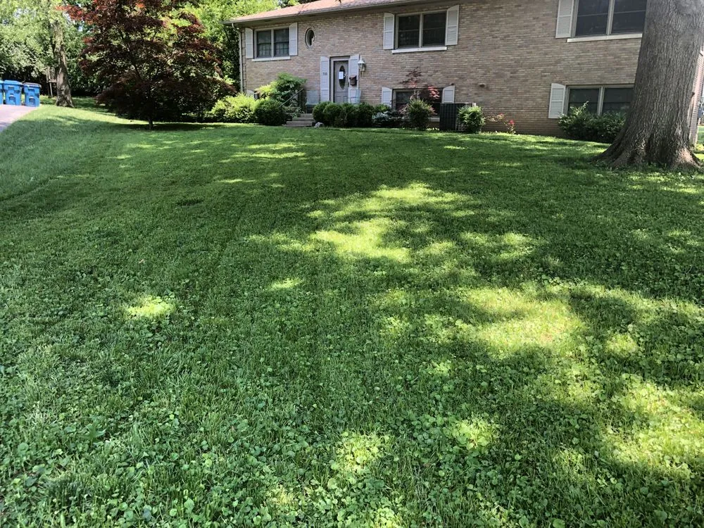 Reliable garden landscaping experts serving Lexington-Fayette, KY - Little.Louis Lawn & Landscape