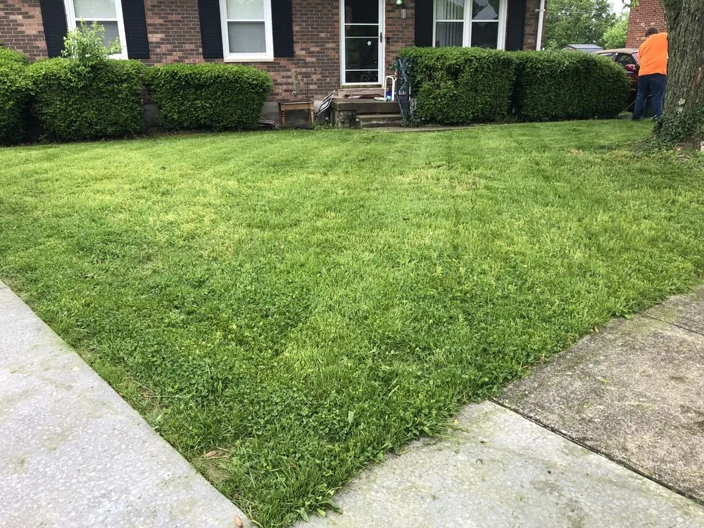 Trusted outdoor landscaping in Lexington-Fayette, KY - Little.Louis Lawn & Landscape
