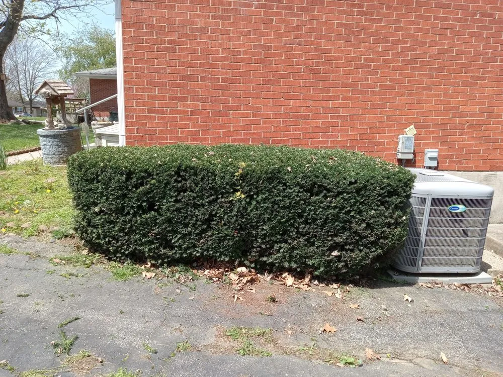 Custom lawn mowing service for outdoor upgrades in Lexington-Fayette, KY by Little.Louis Lawn & Landscape