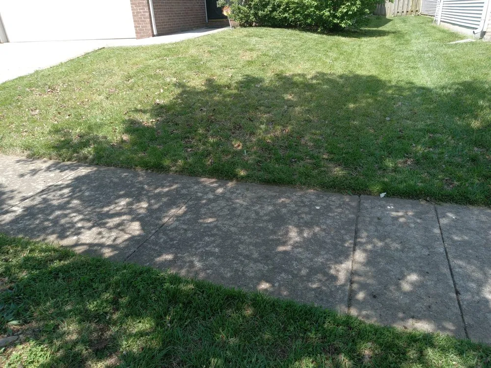 Custom landscaping services for residential properties in Lexington-Fayette, KY by Little.Louis Lawn & Landscape
